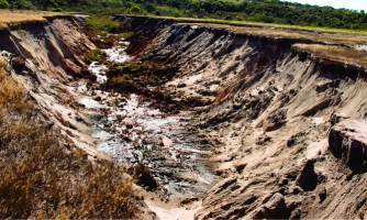 PREFEITURA DE RESERVA DO CABAÇAL INICIA PROJETOS DE RESTAURAÇÃO DE ÁREAS DEGRADADAS E NASCENTES